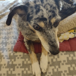 Fundraising Page: Susan Walter